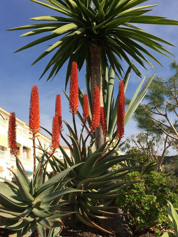 Ferienwohnung Residentie Montesol Torrox Exterior foto